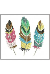 Msc076 - 4 X 4 Elders Feathers